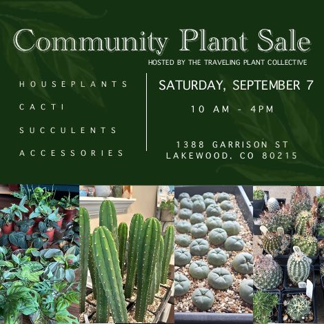 Join Us for Our Sacred Cacti Event This Saturday - Featuring San Pedro, Legal Lophophora, & More!