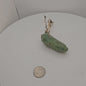 Trichocereus Bridgesii Monstrose (TBM Short Form) 1 nodes- Rooted Plant
